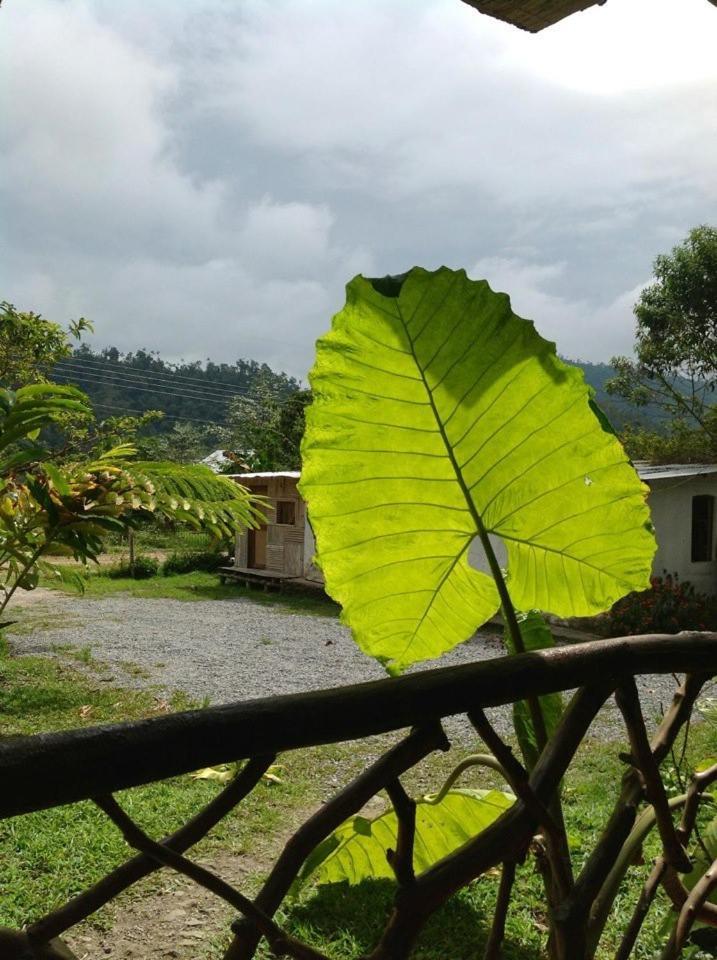 Hosteria Mindo Samay Juku Exterior foto